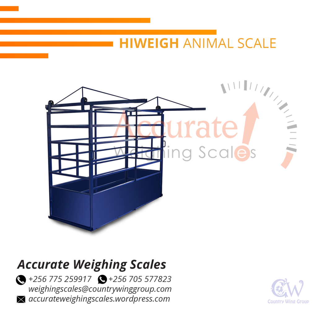 https://electronickitchenweighingscales.countrywinggroup.com/wp-content/uploads/2021/03/Hiweigh-Animal-Scale-png-1024x1024.png