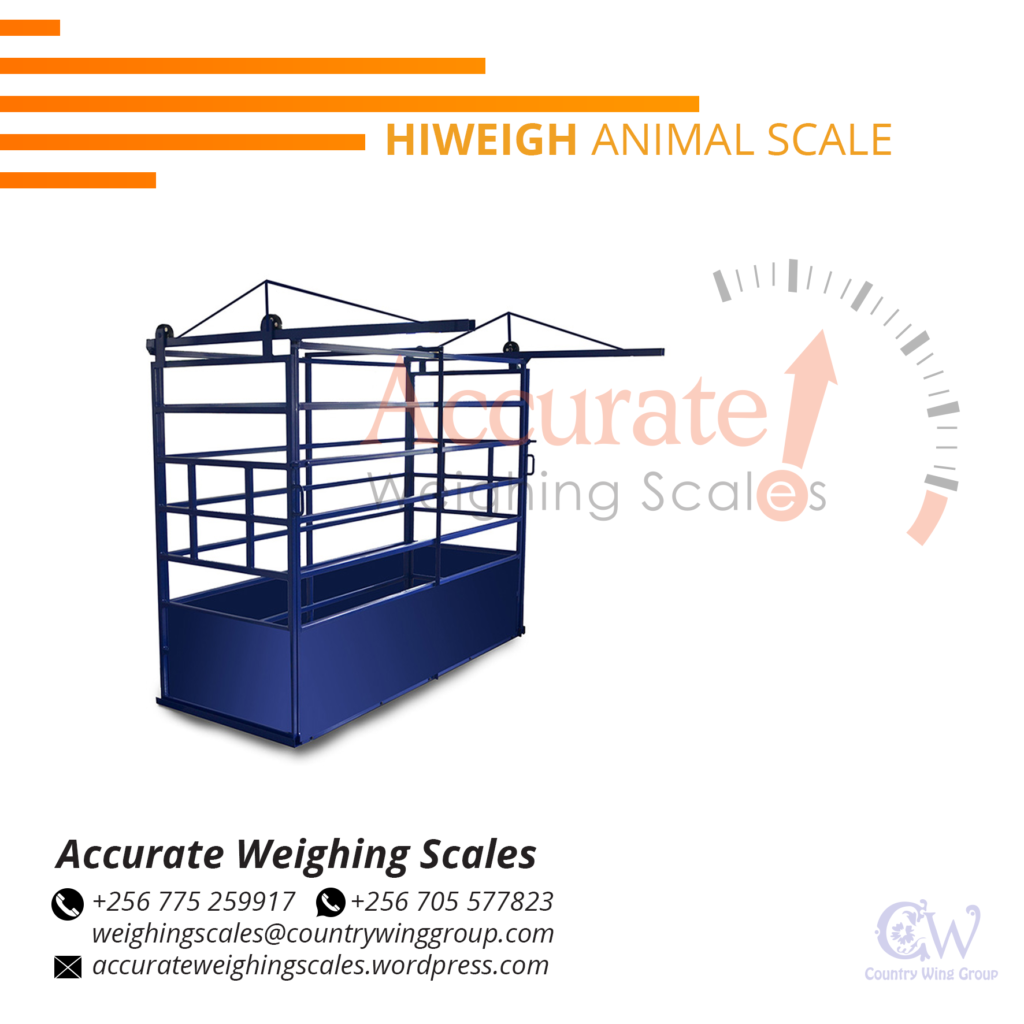 Where can find body weight weighing scale suppliers in Wandegeya Uganda?