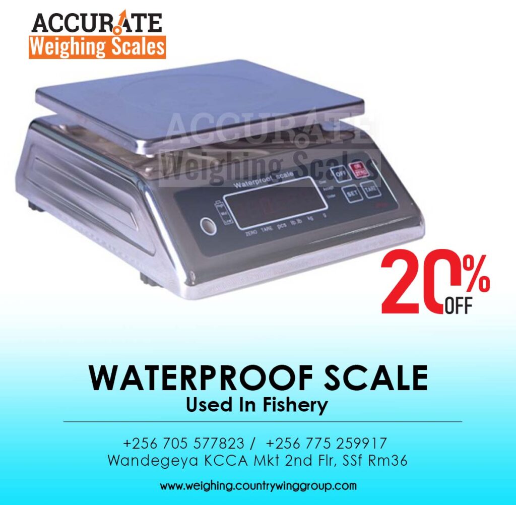 digital weighing scales