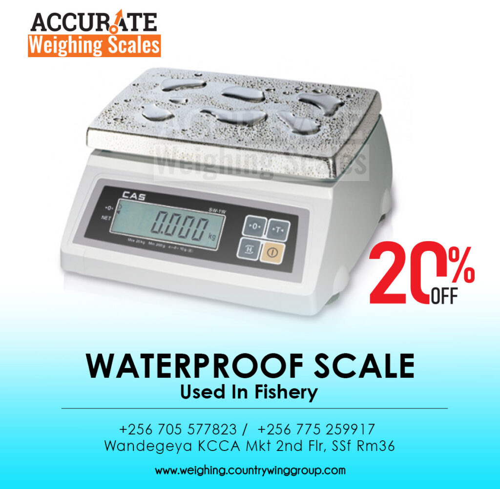 digital weighing scale